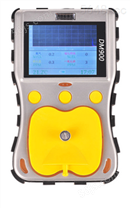 DM900复合气体检测仪
