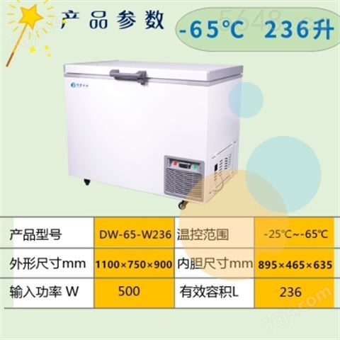 永佳经济款DW-65-W236超低温冰柜
