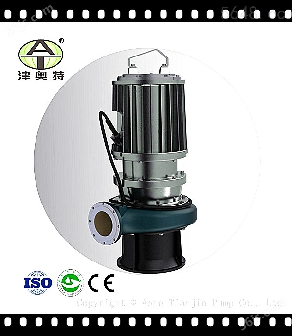 300WQ潜水污水电泵-天津津奥特制造