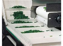 食品輸送機 白色塑料鏈板輸送 藍色塑料鏈板輸送機 果蔬休閑食品輸送機
